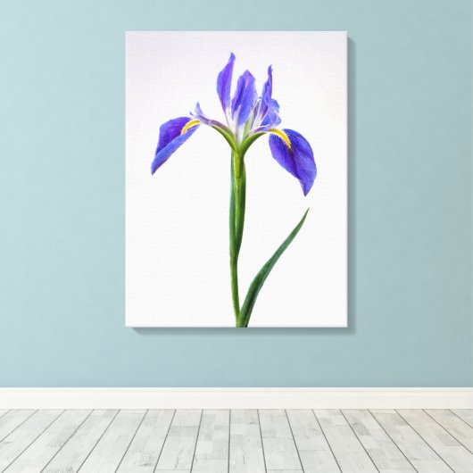 Bloemen | Paarse Iris-ventilator Canvas Afdruk (Insitu (Houten vloer))