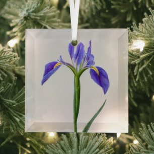 Bloemen Paarse Iris-ventilator Glas Ornament