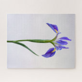 Bloemen | Paarse Iris-ventilator Legpuzzel (Horizontaal)