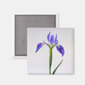 Bloemen | Paarse Iris-ventilator Magneet (Voorkant / Achterkant)