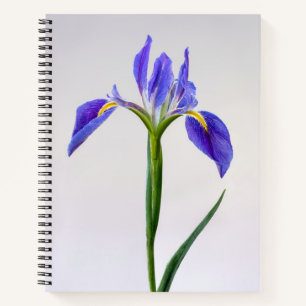 Bloemen Paarse Iris-ventilator Notitieboek