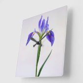 Bloemen | Paarse Iris-ventilator Vierkante Klok (Hoek)