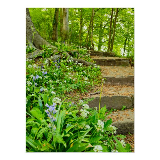 Bloemen Perfect Poster (Voorkant)