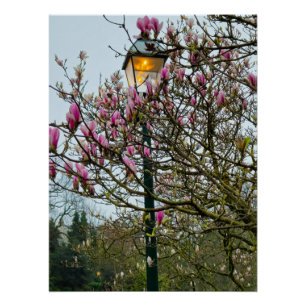 Bloemen Perfect Poster