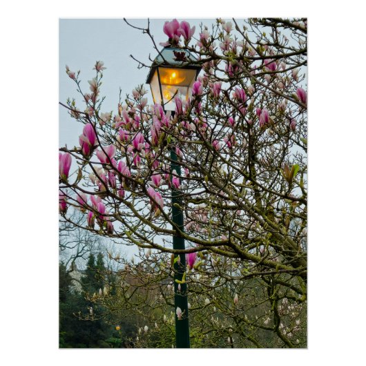 Bloemen Perfect Poster (Voorkant)