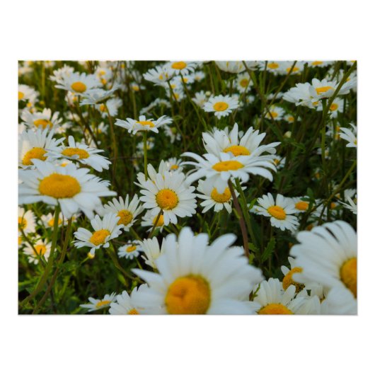 Bloemen Perfect Poster (Voorkant)
