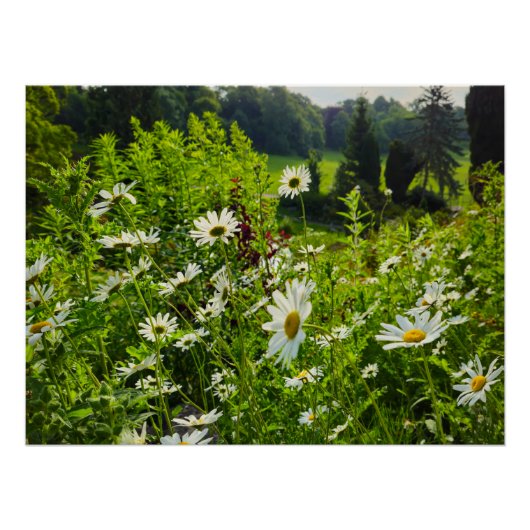 Bloemen Perfect Poster (Voorkant)