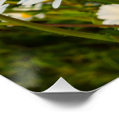 Bloemen Perfect Poster (Hoek)