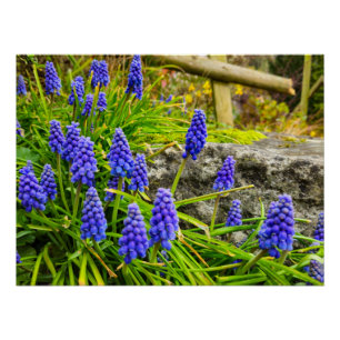 Bloemen Perfect Poster