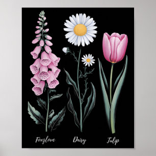 Bloemen Plant Foxglove Daisy Tulip Flower G Poster