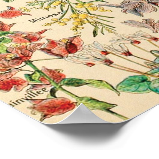  bloemen poster (Hoek)