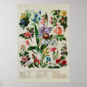  bloemen poster (Voorkant)