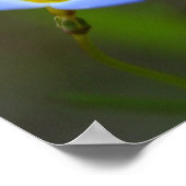 Bloemen Poster (Hoek)