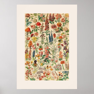  bloemen poster