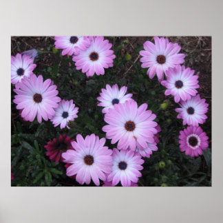 Bloemen Poster
