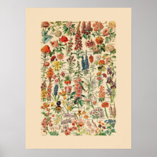 bloemen poster