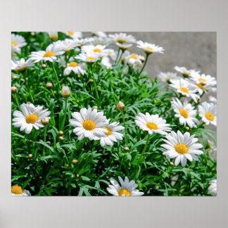Bloemen Poster