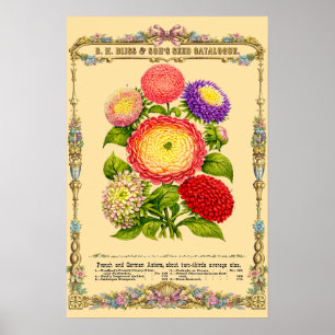 Bloemen Retro Victoriaanse Tijdperk Botanische Kun Poster