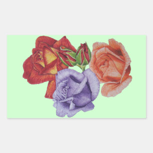 bloemen rode rozen en rozen buisjes bloem rechthoekige sticker