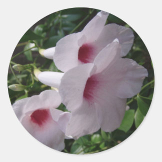 Bloemen Ronde Sticker