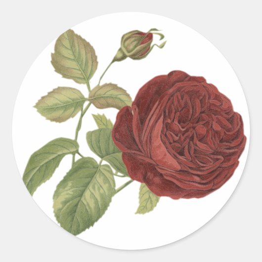 Bloemen  rood Bourgogne Roos - Bruiloft Ronde Sticker (Voorkant)