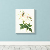 bloemen Roos van het Blush Noisette Canvas Afdruk (Insitu (Houten vloer))