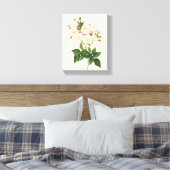 bloemen Roos van het Blush Noisette Canvas Afdruk (Insitu (Slaapkamer))