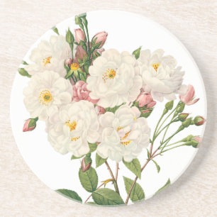 bloemen Roos van het Blush Noisette Zandsteen Onderzetter