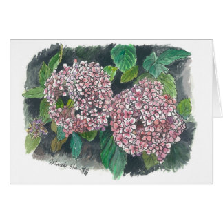 bloemen - Roze hydrangea