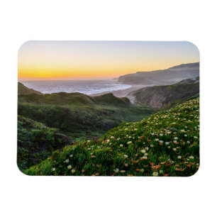 Bloemen Santa Cruz California Magneet