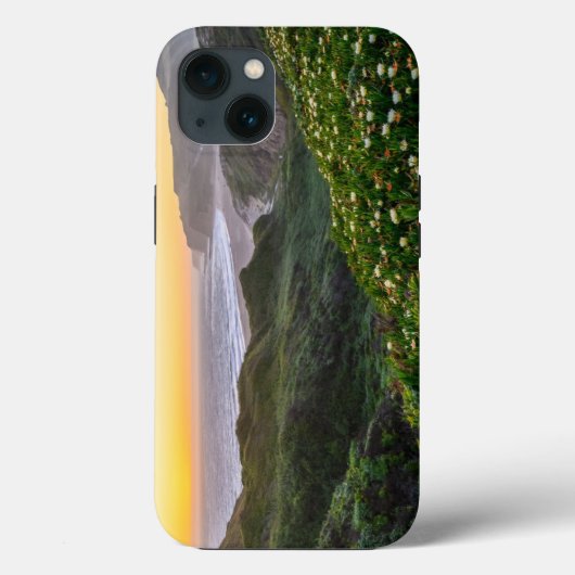 Bloemen | Santa Cruz Californië Case-Mate iPhone Case (Achterkant)