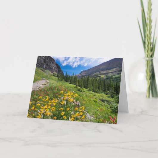 Bloemen | Stroompad Montana Kaart (Voorkant)