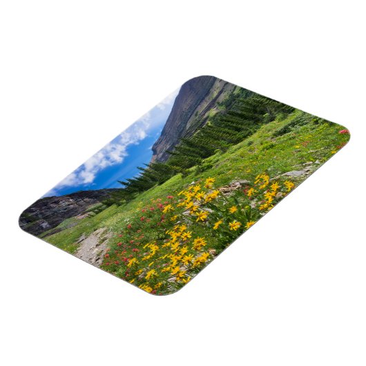 Bloemen | Stroompad Montana Magneet (Linkerzijde)