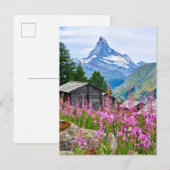Bloemen | Summer Matterhorn Zwitserland Briefkaart (Voorkant / Achterkant)