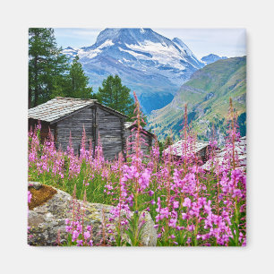 Bloemen Summer Matterhorn Zwitserland Magneet