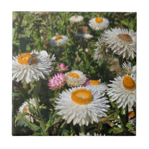 Bloemen Tegeltje