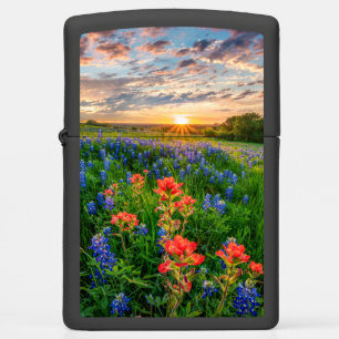 Bloemen   Texas Bluebonnets & Indian Paintborstel