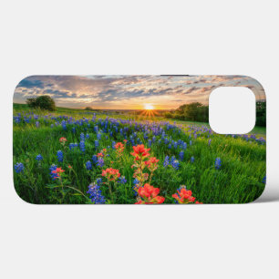 Bloemen   Texas Bluebonnets & Indian Paintborstel iPhone 13 Hoesje