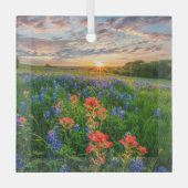 Bloemen | Texas Bluebonnets & Indian Paintborstel Glas Ornament (Voorkant)