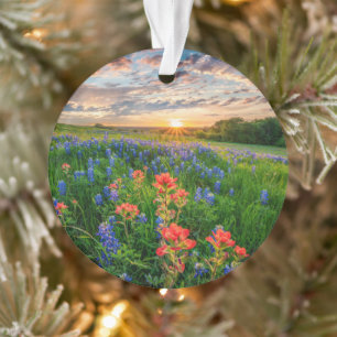 Bloemen Texas Bluebonnets & Indian Paintborstel Ornament