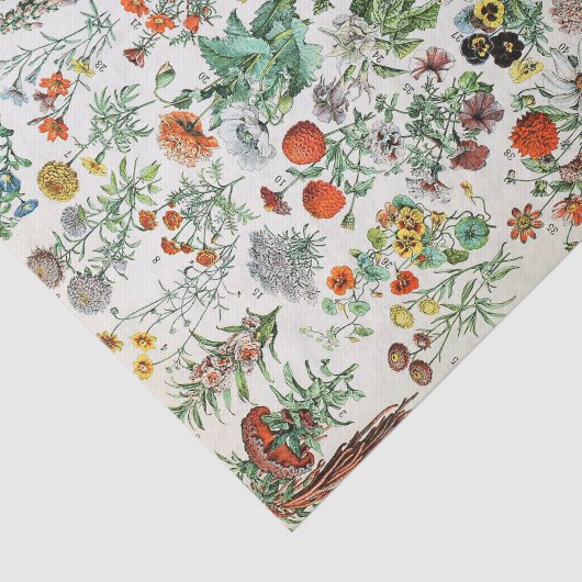 bloemen tissuepapier (Detail)