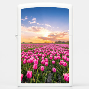 Bloemen Tulpen Zuid-Holland, Nederland