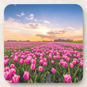 Bloemen Tulpen Zuid-Holland, Nederland Bier Onderzetter