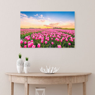 Bloemen   Tulpen Zuid-Holland, Nederland Canvas Afdruk