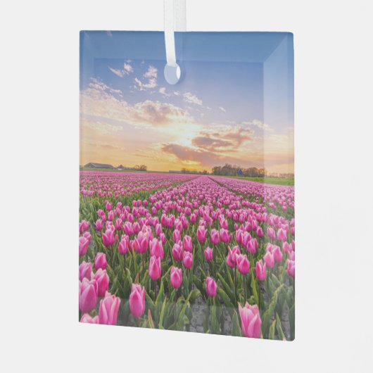 Bloemen | Tulpen Zuid-Holland, Nederland Glas Ornament (Voorkant links)