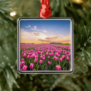 Bloemen Tulpen Zuid-Holland, Nederland Metalen Ornament