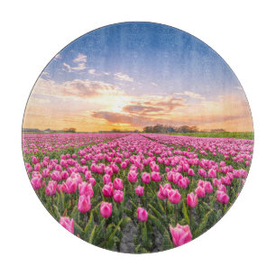 Bloemen Tulpen Zuid-Holland, Nederland Snijplank