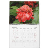 Bloemen van Costa Rica Kalender (Feb 2026)