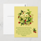  bloemen van de aardbeien van Shakespeare Postca Briefkaart (Voorkant / Achterkant)