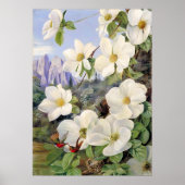 Bloemen van de Californisch door Marianne North Poster (Voorkant)